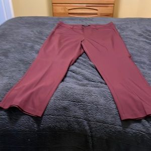 Liverpool dress pants 20W